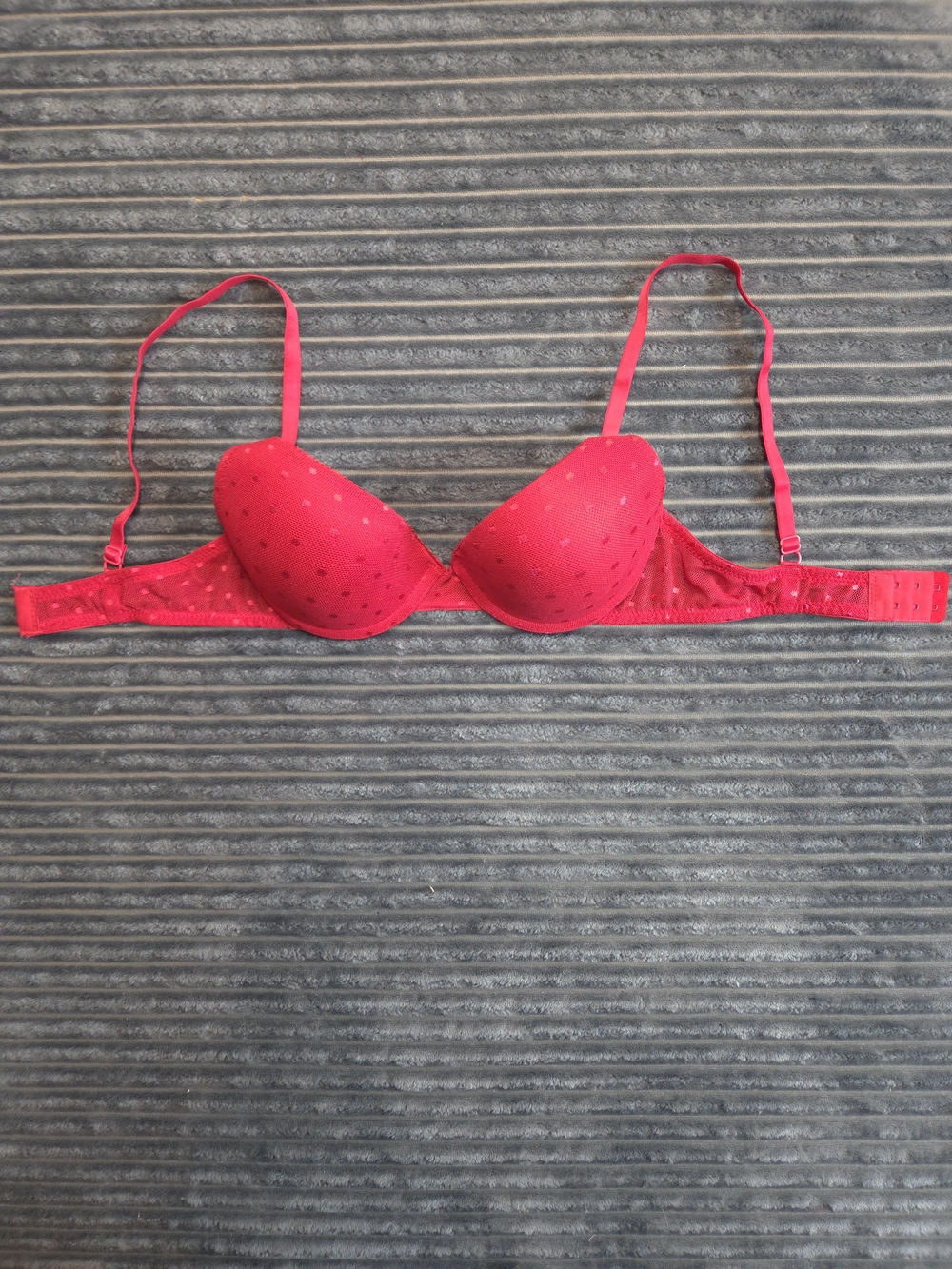 Secret Possessions Pink-Red Lace Push-Up Bra